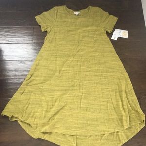LuLaRoe Carly dress